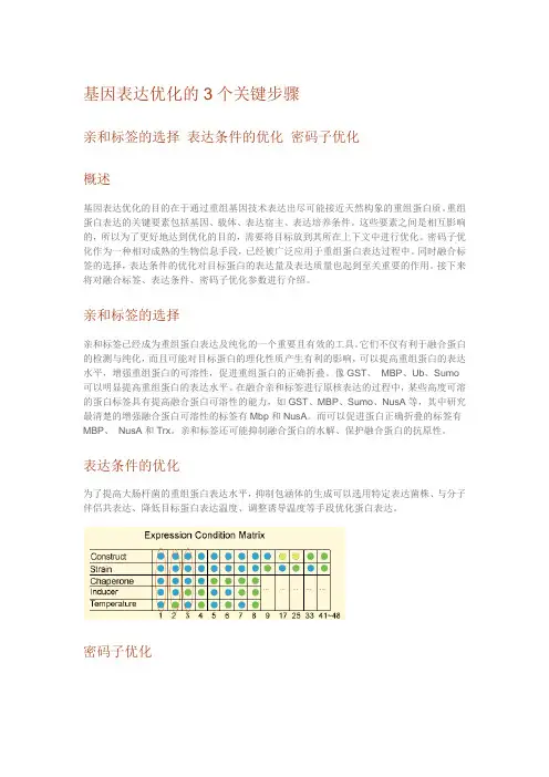 基因表达优化的3个关键步骤