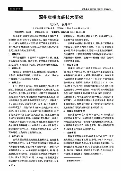 深州蜜桃套袋技术要领