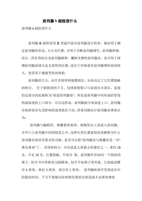 前列腺b超检查什么