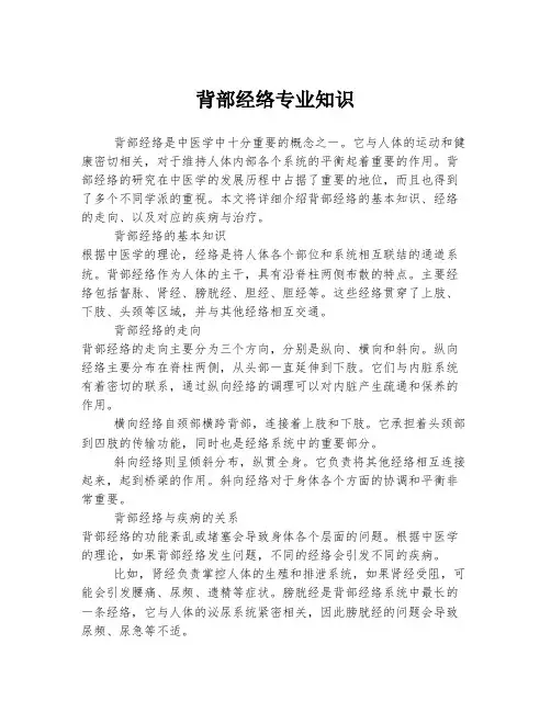 背部经络专业知识