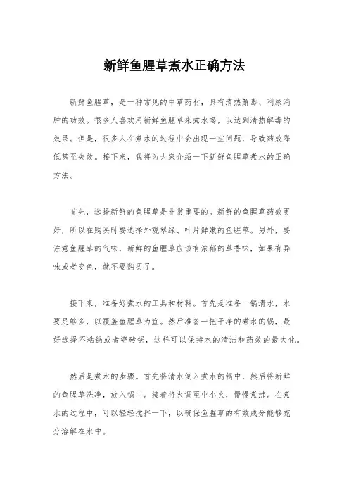 新鲜鱼腥草煮水正确方法