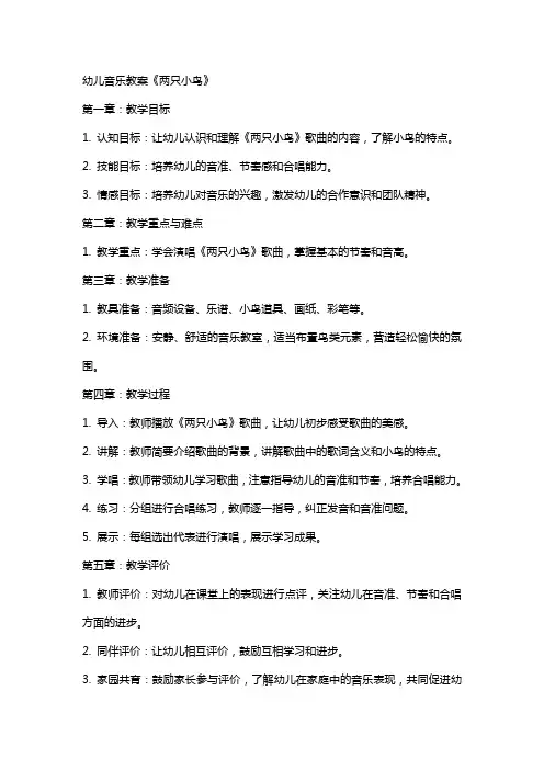 幼儿音乐教案《两只小鸟》