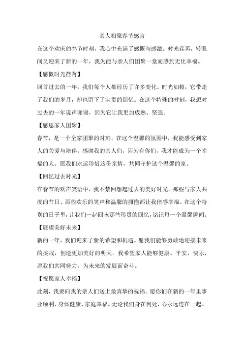 亲人相聚春节感言