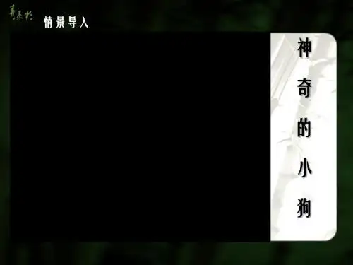 新人教版九年级物理《电荷 摩擦起电》课件
