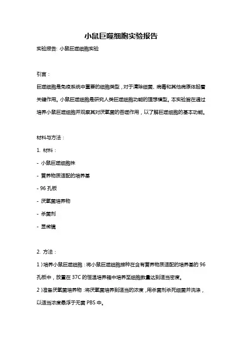 小鼠巨噬细胞实验报告