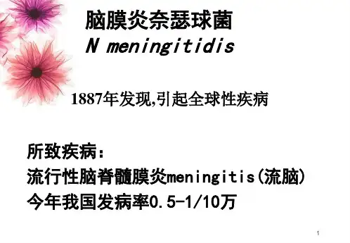脑膜炎奈瑟球菌NmeningitidisPPT课件