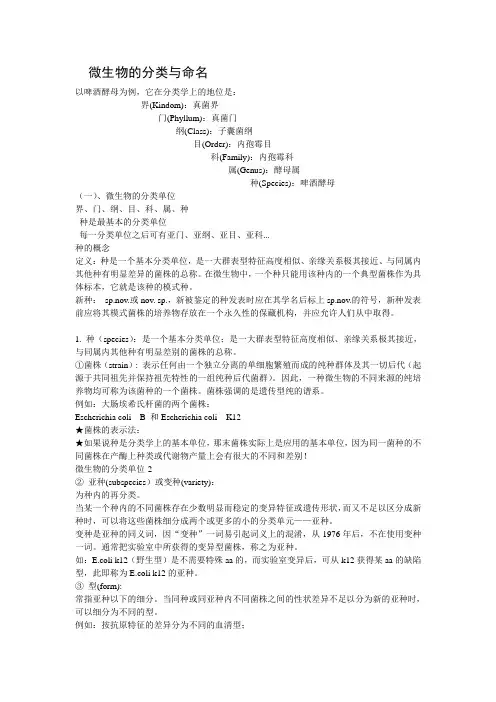 微生物的分类与命名