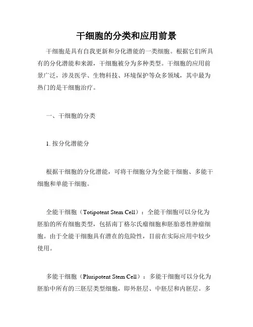 干细胞的分类和应用前景