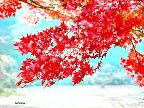 高考化学一轮复习专题实验方案的设计与评价课件