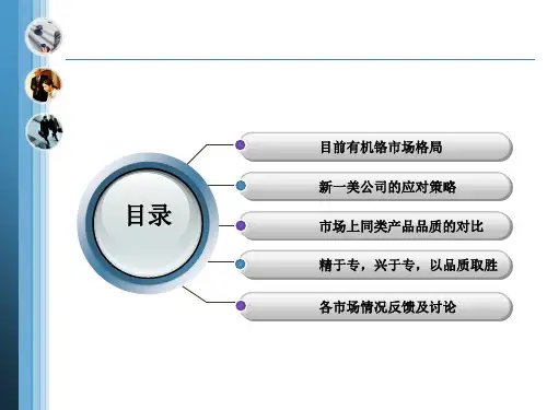 市场同类产品对比与分析21页PPT