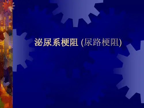 泌尿系梗阻 (尿路梗阻)