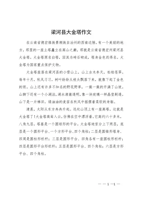 梁河县大金塔作文