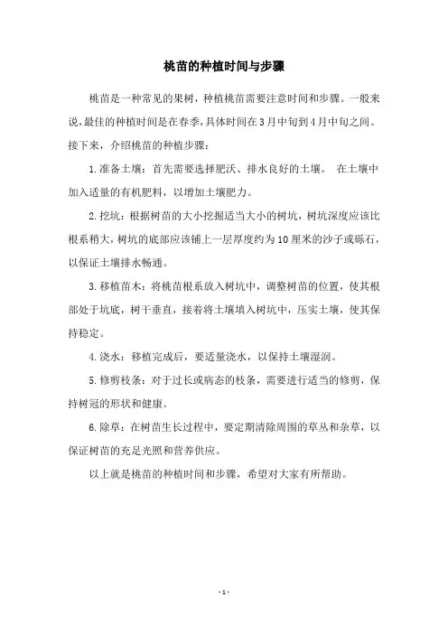 桃苗的种植时间与步骤