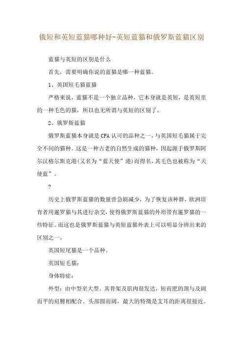 俄短和英短蓝猫哪种好-英短蓝猫和俄罗斯蓝猫区别