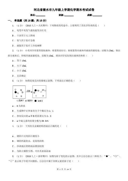 河北省衡水市九年级上学期化学期末考试试卷