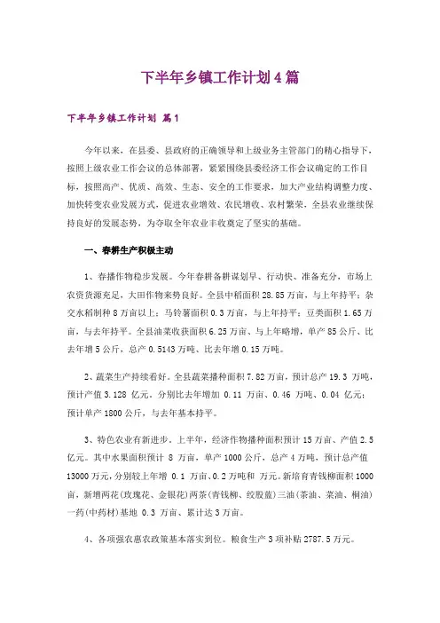 下半年乡镇工作计划4篇