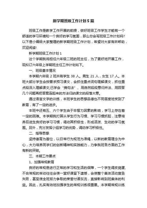 新学期班级工作计划5篇