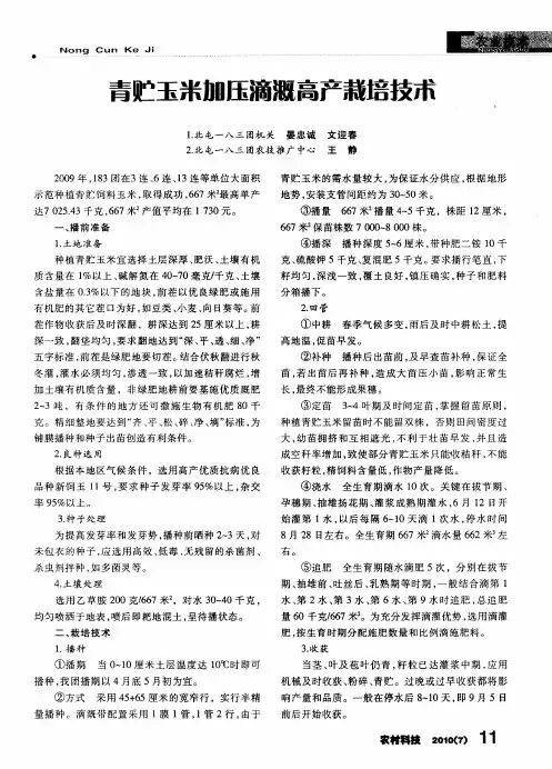 青贮玉米加压滴溉高产栽培技术