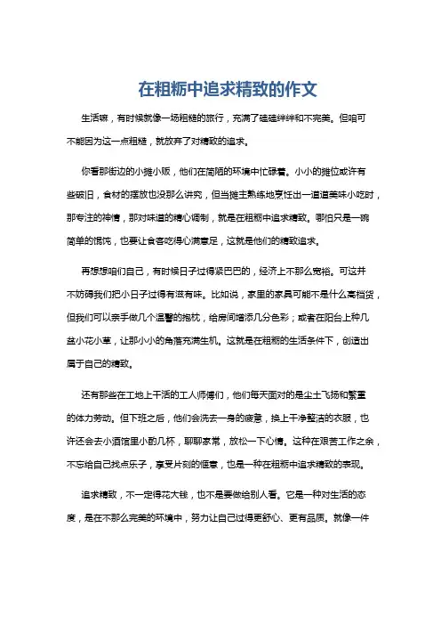 在粗粝中追求精致的作文