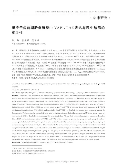 重度子痫前期胎盘组织中YAP1、TAZ表