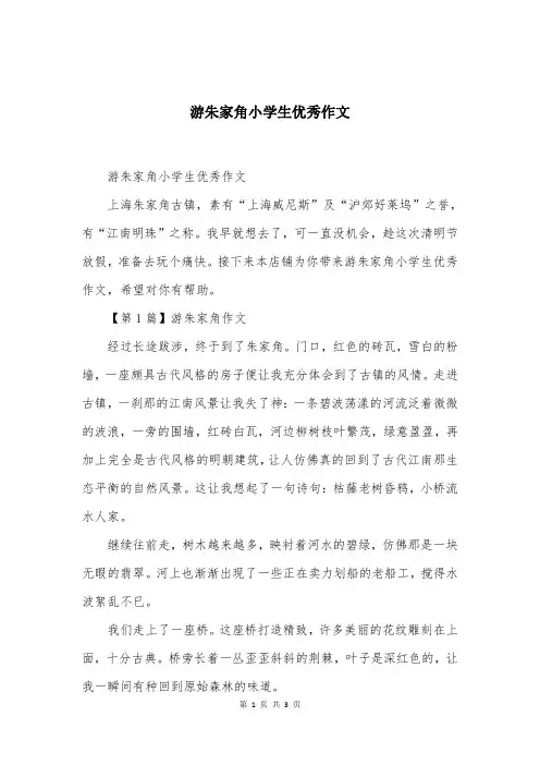 游朱家角小学生优秀作文