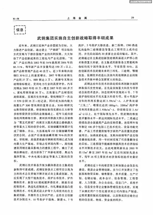 武钢集团实施自主创新战略取得丰硕成果