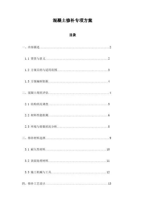 混凝土修补专项方案