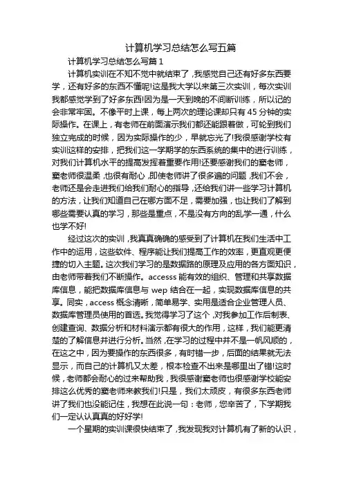 计算机学习总结怎么写五篇