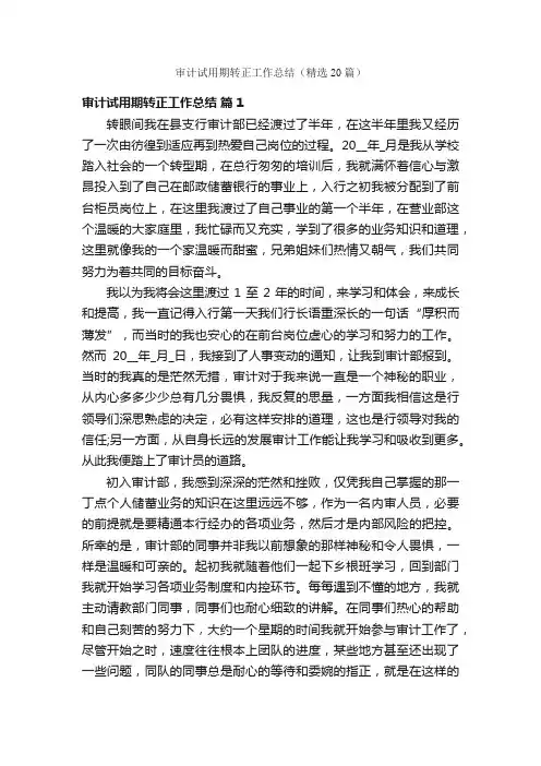 审计试用期转正工作总结（精选20篇）