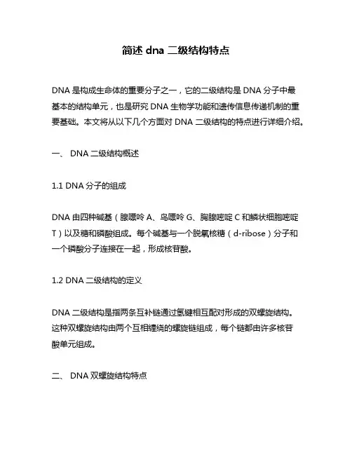 简述dna二级结构特点