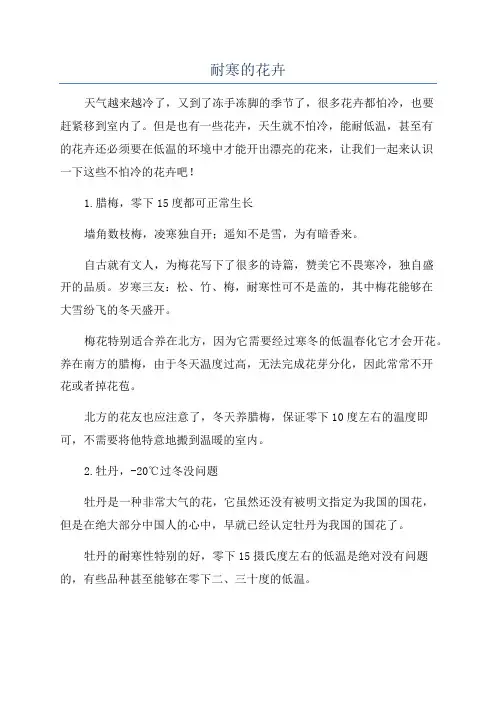 耐寒的花卉