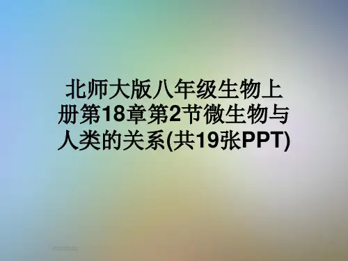 北师大版八年级生物上册第18章第2节微生物与人类的关系(共19张PPT)
