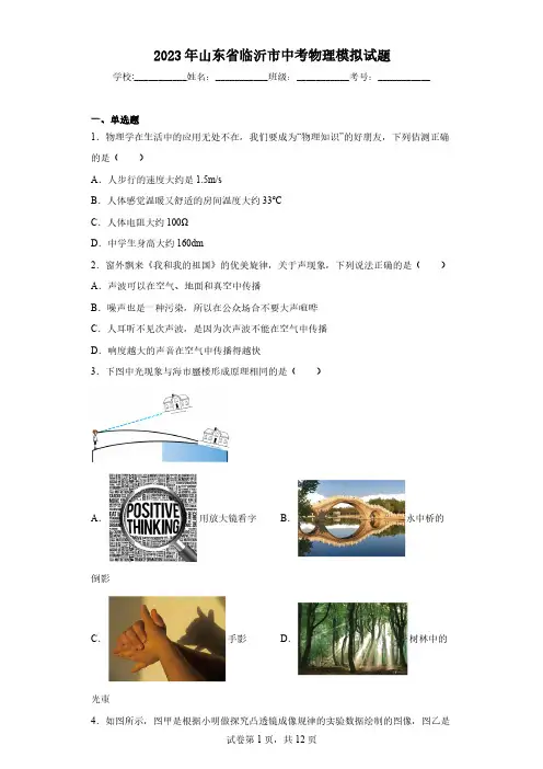 2023年山东省临沂市中考物理模拟试题(含解析)