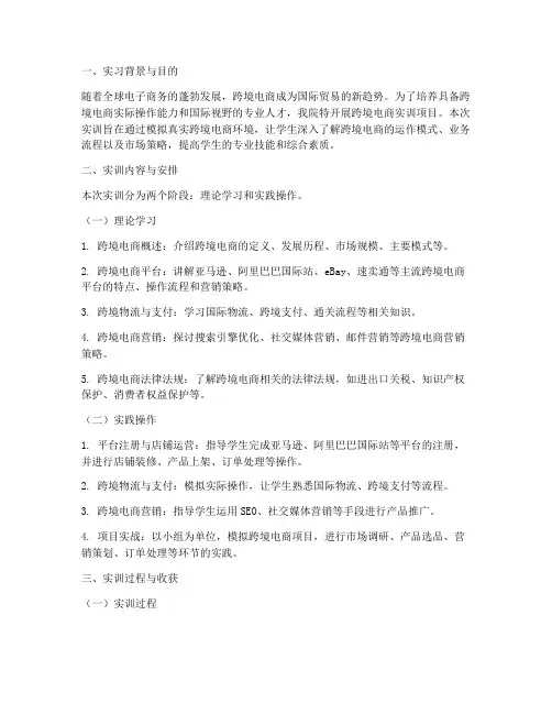 铁职院跨境电商实训报告