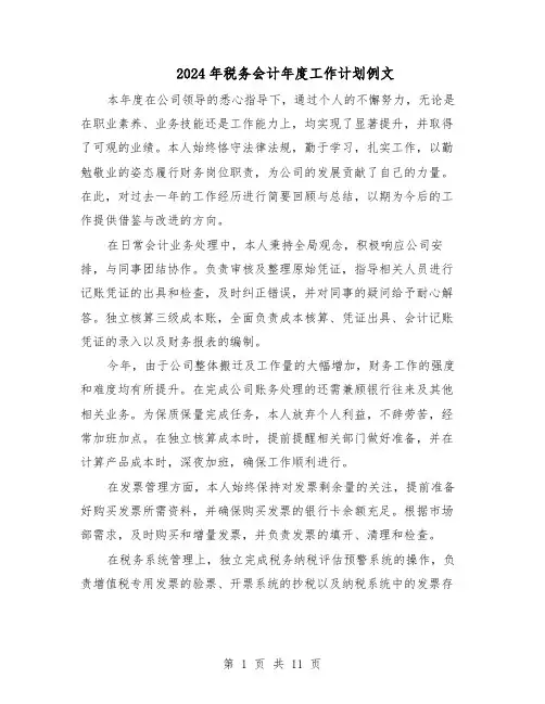 2024年税务会计年度工作计划例文（6篇）