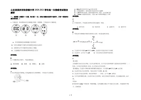 山东省滨州市阳信镇中学2020-2021学年高一生物联考试卷含解析
