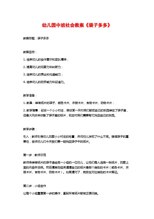 幼儿园中班社会教案《袋子多多》 (2)