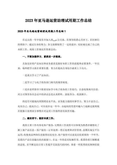 2023年亚马逊运营助理试用期工作总结