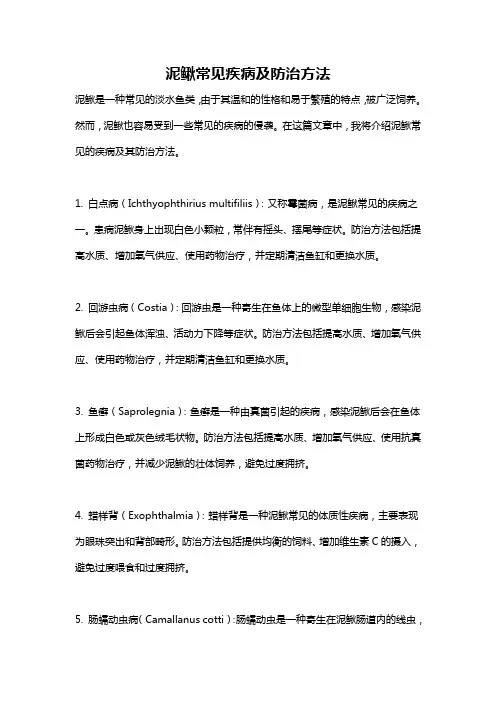 泥鳅常见疾病及防治方法