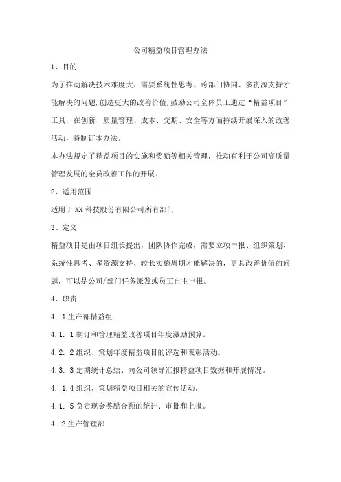 公司精益项目管理办法