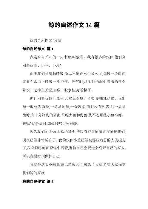 鲸的自述作文14篇