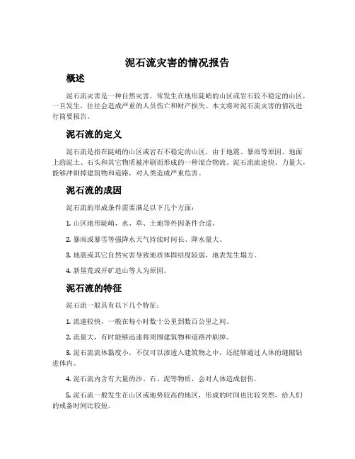 泥石流灾害的情况报告