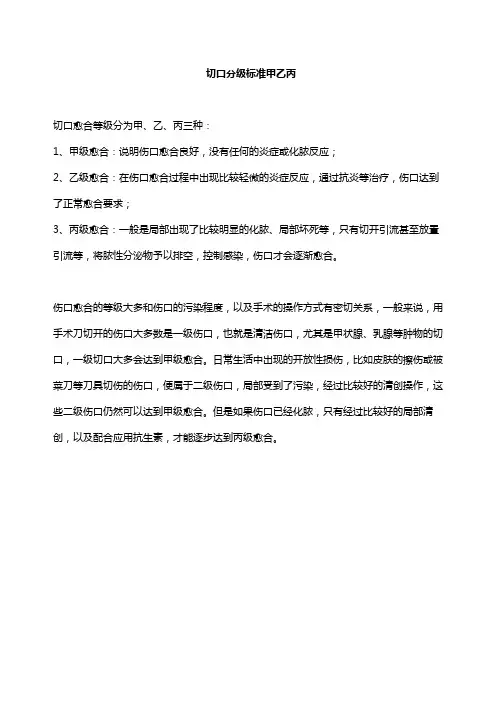 切口分级标准甲乙丙