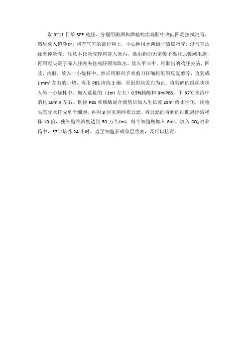 鸡胚成纤维细胞(CEF)制备