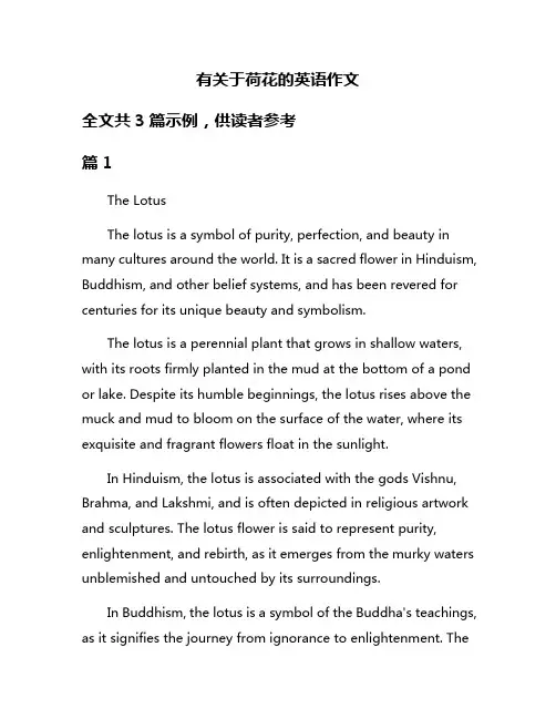 有关于荷花的英语作文