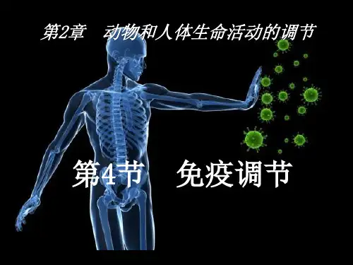 人体免疫系统在维持稳态中的作用-【名师经典教学设计课件】