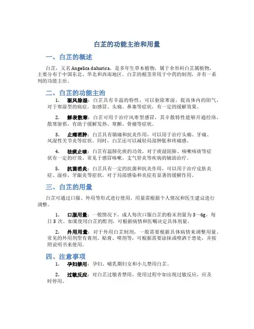 白芷的功能主治和用量