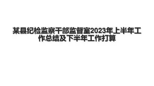 某县纪检监察干部监督室2023年上半年工作总结及下半年工作打算