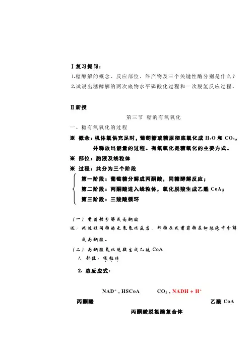 糖的有氧氧化