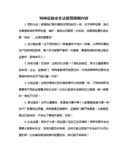 特种设备安全法管理原则内容